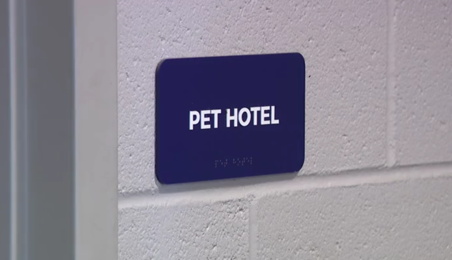 Pet hotel at City Care Night Shelter.