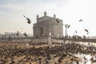 <p>Flying to New Delhi in March is advisable, when you can snag a flight as <a href="https://www.cheapflights.com/flights-to-india/" rel="nofollow noopener" target="_blank" data-ylk="slk:cheap as $580;elm:context_link;itc:0;sec:content-canvas" class="link ">cheap as $580</a>. Even though this falls within India's wet season, it's a trip likely to change your life. Fly out on a Monday afternoon for the best rate. A quality hotel in Delhi can range from <a href="https://www.tripadvisor.com/Hotels-g304551-New_Delhi_National_Capital_Territory_of_Delhi-Hotels.html" rel="nofollow noopener" target="_blank" data-ylk="slk:$100 to $200 a night;elm:context_link;itc:0;sec:content-canvas" class="link ">$100 to $200 a night</a>, depending on your preferences. </p>