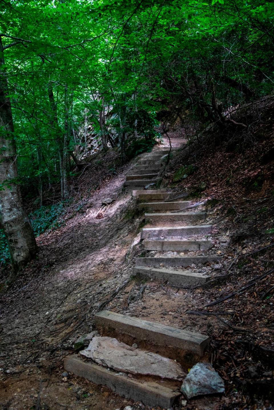 A section of the Mountain Loop Trail at Occoneechee Mountain State Natural Area in Hillsborough. Travis Long/tlong@newsobserver.com