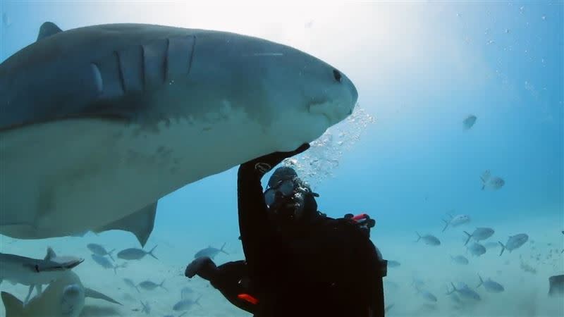 威爾史密斯自曝從小就怕海「因為海裡有鯊魚」。（圖／Discovery提供）