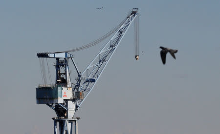 A bird flies over a crane at an industrial port in Yokohama, Japan, January 16, 2017. REUTERS/Kim Kyung-Hoon