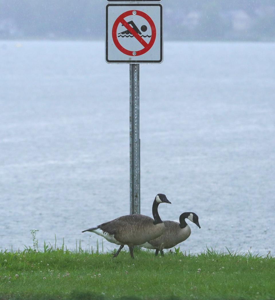 Signs along Springfield Lake warn residents against swimming in the toxin-heavy water in Springfield Township.