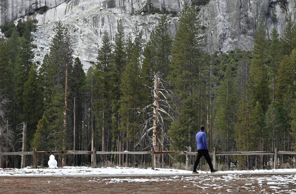 A visitor passes a snowman made at Sentinel Meadow in Yosemite Valley Friday, Feb 9, 2024 in Yosemite National Park. ERIC PAUL ZAMORA/ezamora@fresnobee.com