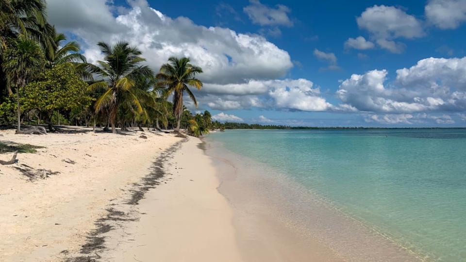 <div class="inline-image__caption"><p>"Turquoise clear water and tropical palm trees in Sean Ka’an national park, Mexico"</p></div> <div class="inline-image__credit">Getty</div>