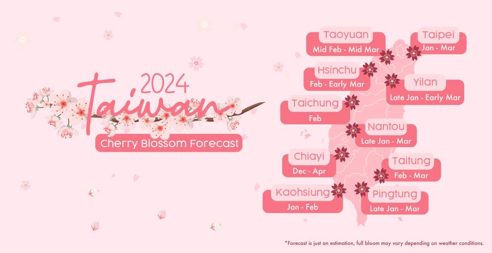 Cherry blossom 2024 forecast - Taiwan. (Photo: KKday SG)