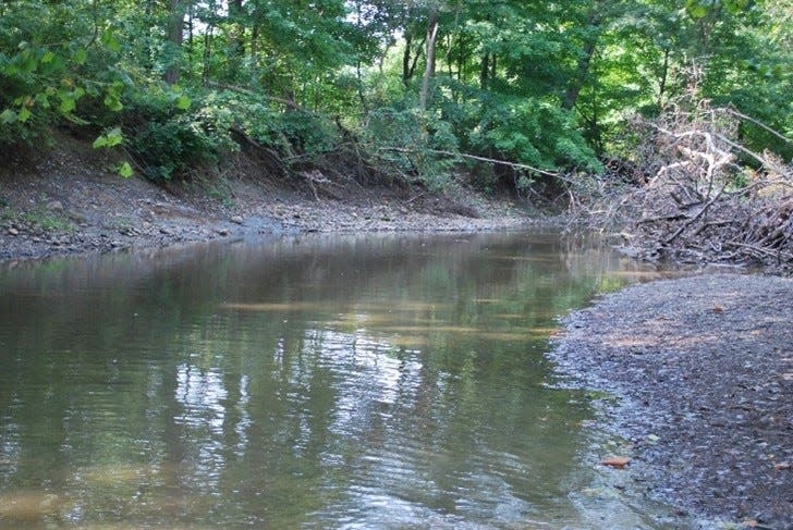 Olentangy River in Marion County where two federally endangered mussel species were discovered this summer by Dr. Michael Hoggarth of Otterbein University.