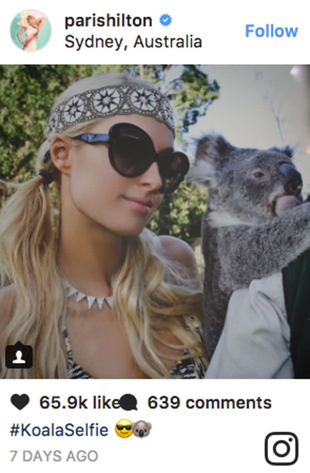 Paris Hilton took a photo with a koala a week ago. Source: Instagram