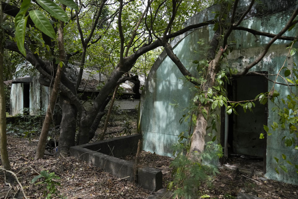 Trees and wild vines grow beside abandoned concrete structures called "Quonset huts" formerly used as barracks for U.S. Marines in what used to be America's largest overseas naval base at the Subic Bay Freeport Zone, Zambales province, northwest of Manila, Philippines on Monday Feb. 6, 2023. The U.S. has been rebuilding its military might in the Philippines after more than 30 years and reinforcing an arc of military alliances in Asia in a starkly different post-Cold War era when the perceived new regional threat is an increasingly belligerent China. (AP Photo/Aaron Favila)