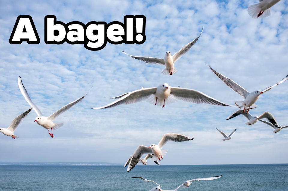 A bagel