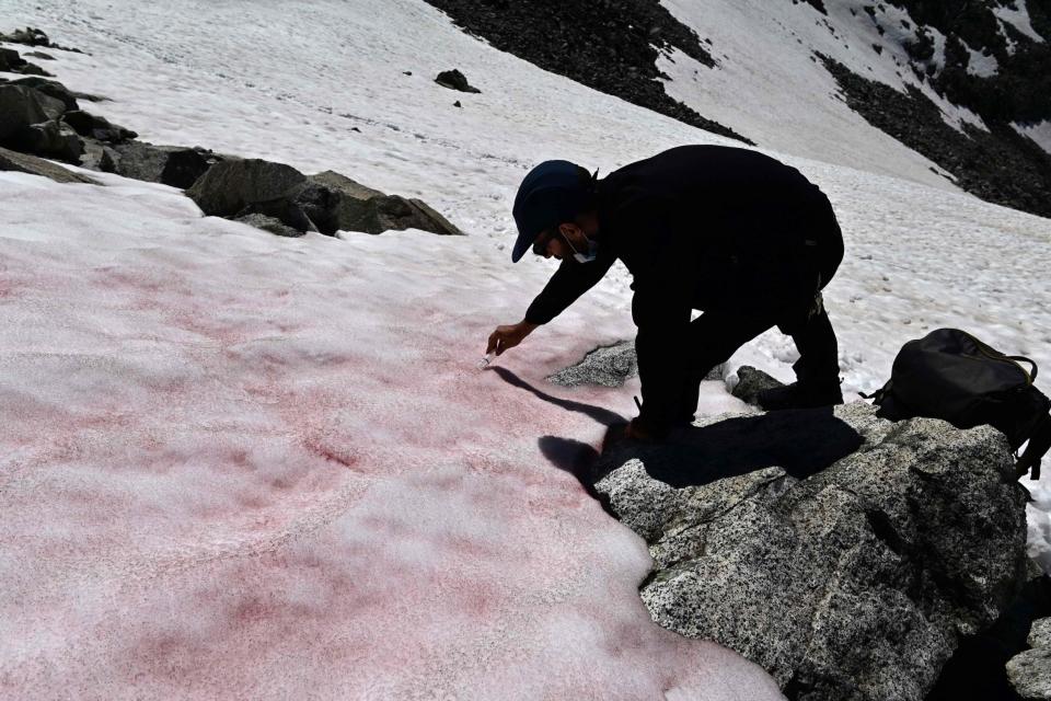 Biagio di Mauro takes samples on the Presena glacier in northern Italy (AFP via Getty Images)