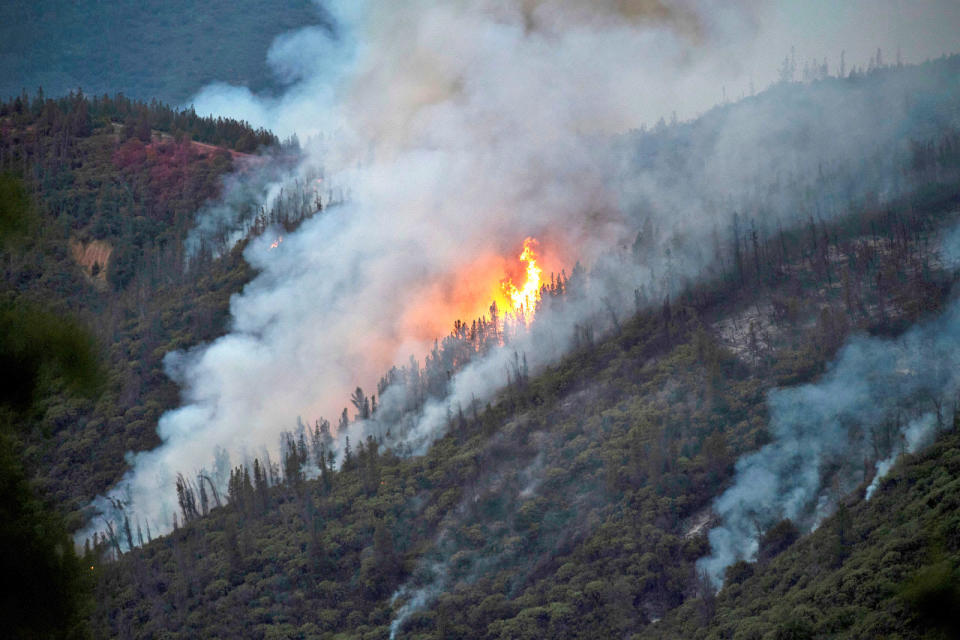 AP Photo/Noah Berger