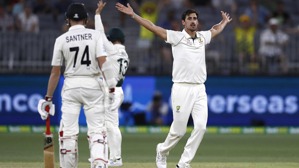 Mitchell Starc, pictured here in action against New Zealand.