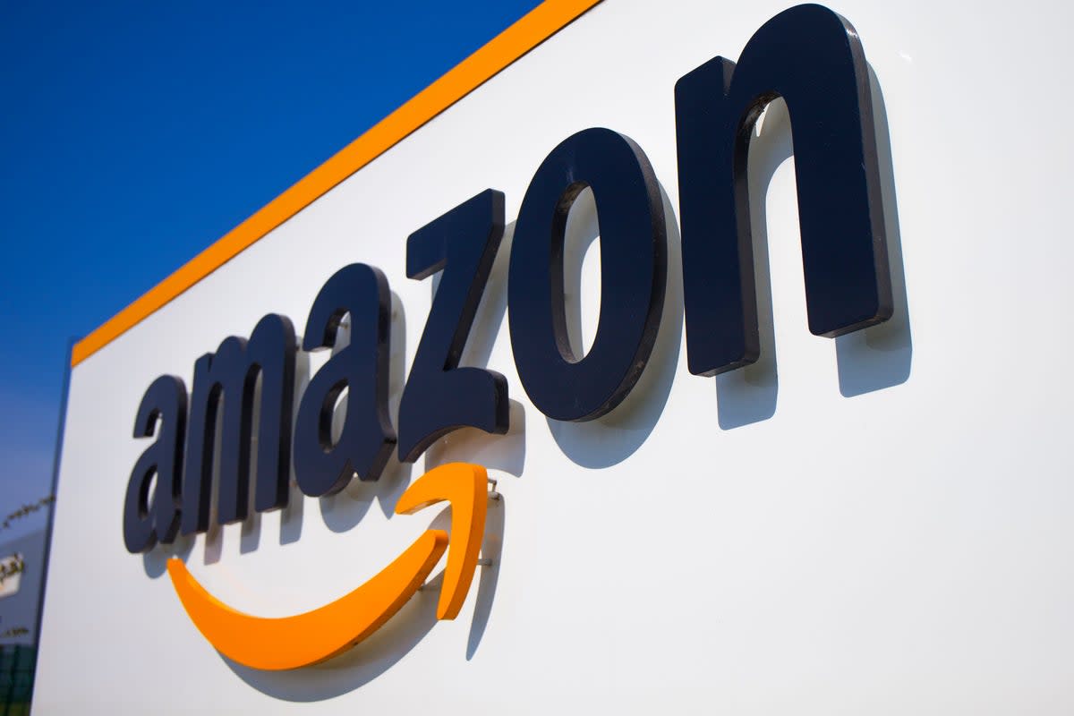 REP-ECO AMAZON-VIGILANCIA (AP)