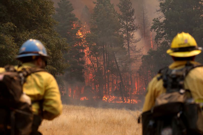 El incendio de Oak arde en California