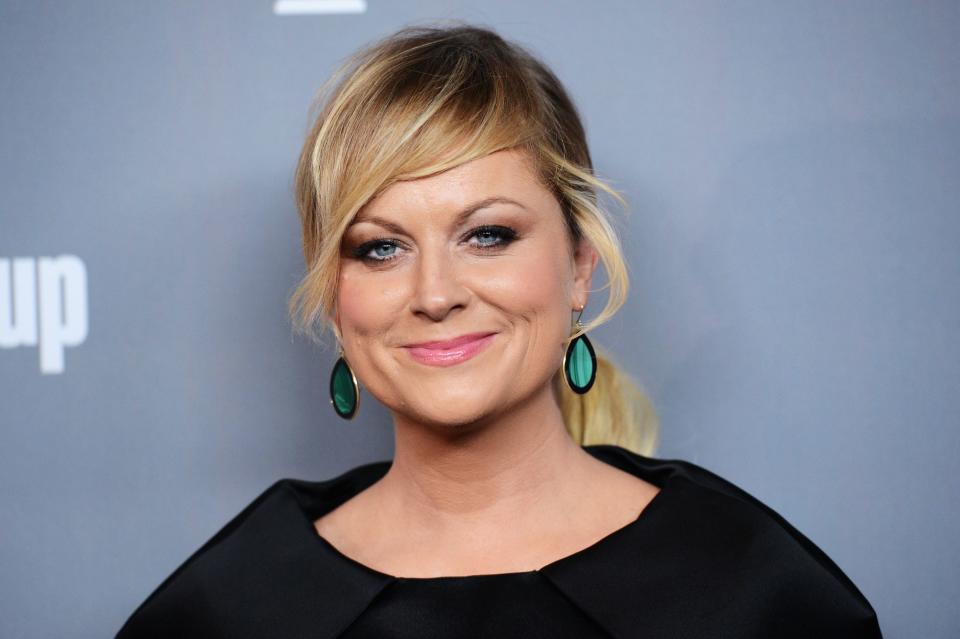 Amy Poehler