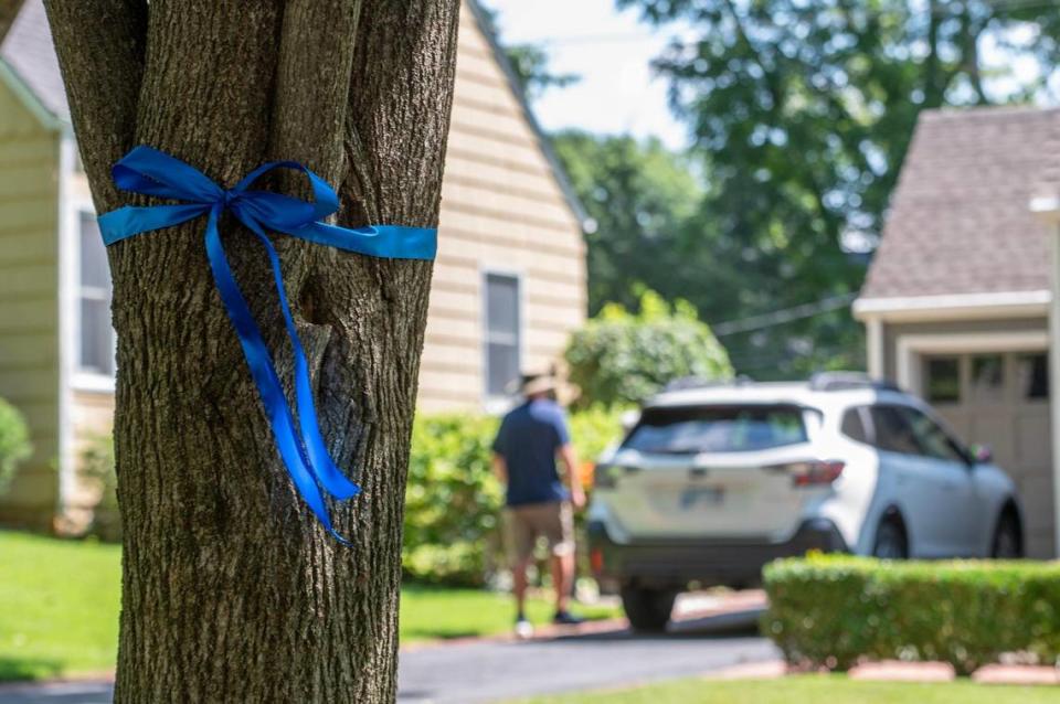 A blue ribbon is seen tied around a tree along Fairway Road on Tuesday, Aug. 8, 2023, in Fairway, Kan. Neighbors wanted to honor Jonah Oswald, Fairway Police officer, who was killed in the line of duty.