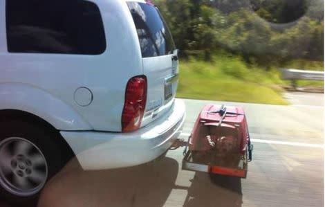 What Would You Do If You Saw a Dog Carrier Attached to a Car on the Highway?