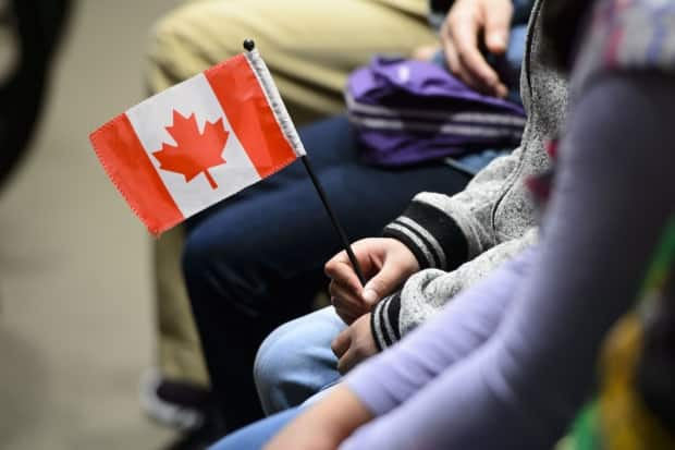 Since first settling in Canada in 2016, thousands of Syrian refugees have had to learn new languages, find new jobs, and establish themselves in a different society.  (Sean Kilpatrick/The Canadian Press - image credit)