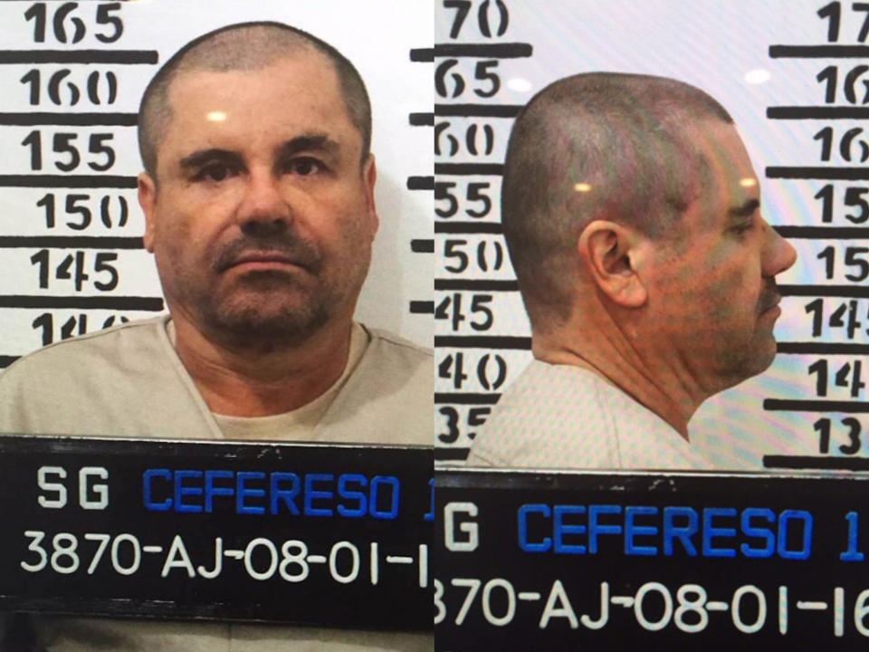 el chapo Collage