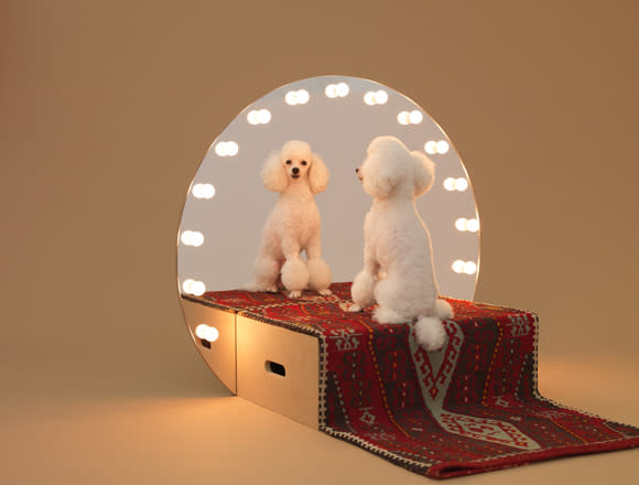 Some people believe that dogs cannot recognize themselves in a mirror. The Paramount, designed by Konstantin Grcic, attempts to debunk that notion and enables the toy poodle’s vanity to flourish. And apparently, owners note the structure underlines two qualities about the breed: They “are notoriously finicky about their looks and that they are highly intelligent.” (Photo by Hiroshi Yoda / <a href="http://www.architecturefordogs.com/" rel="nofollow noopener" target="_blank" data-ylk="slk:Architecture for Dogs;elm:context_link;itc:0;sec:content-canvas" class="link ">Architecture for Dogs</a>)