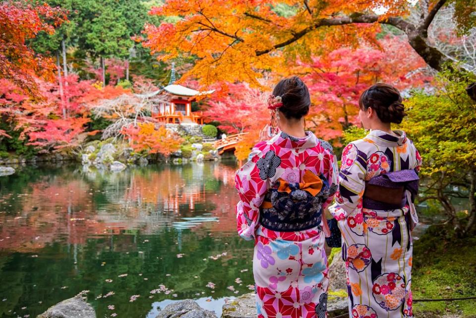 girls in kimonos looking at colorful leaves 