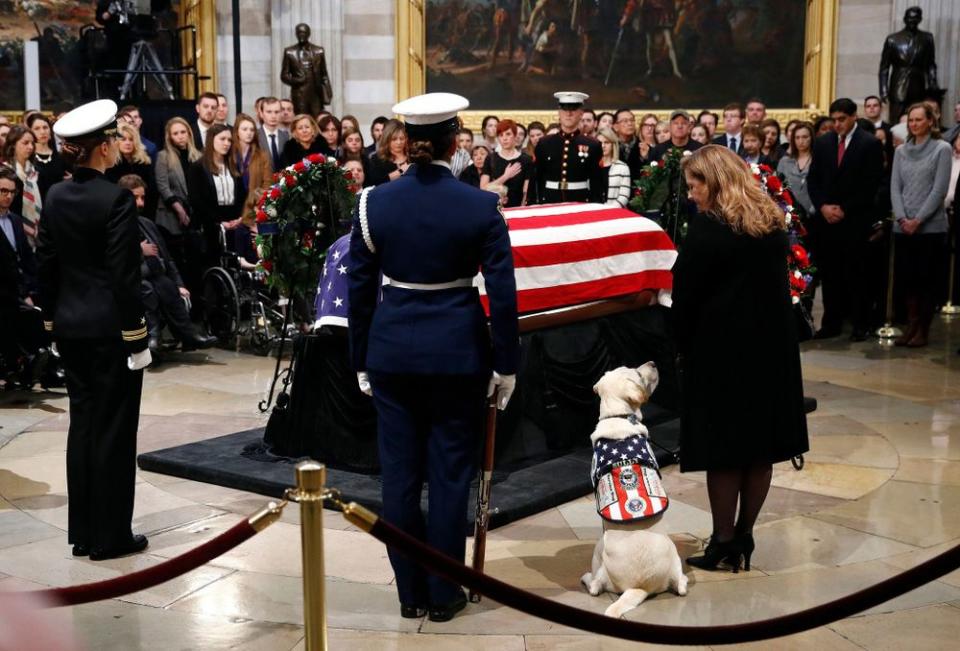 Sully, the service dog, sits next to George H. W. Bush's casket | Patrick Semansky/AP/REX/Shutterstock