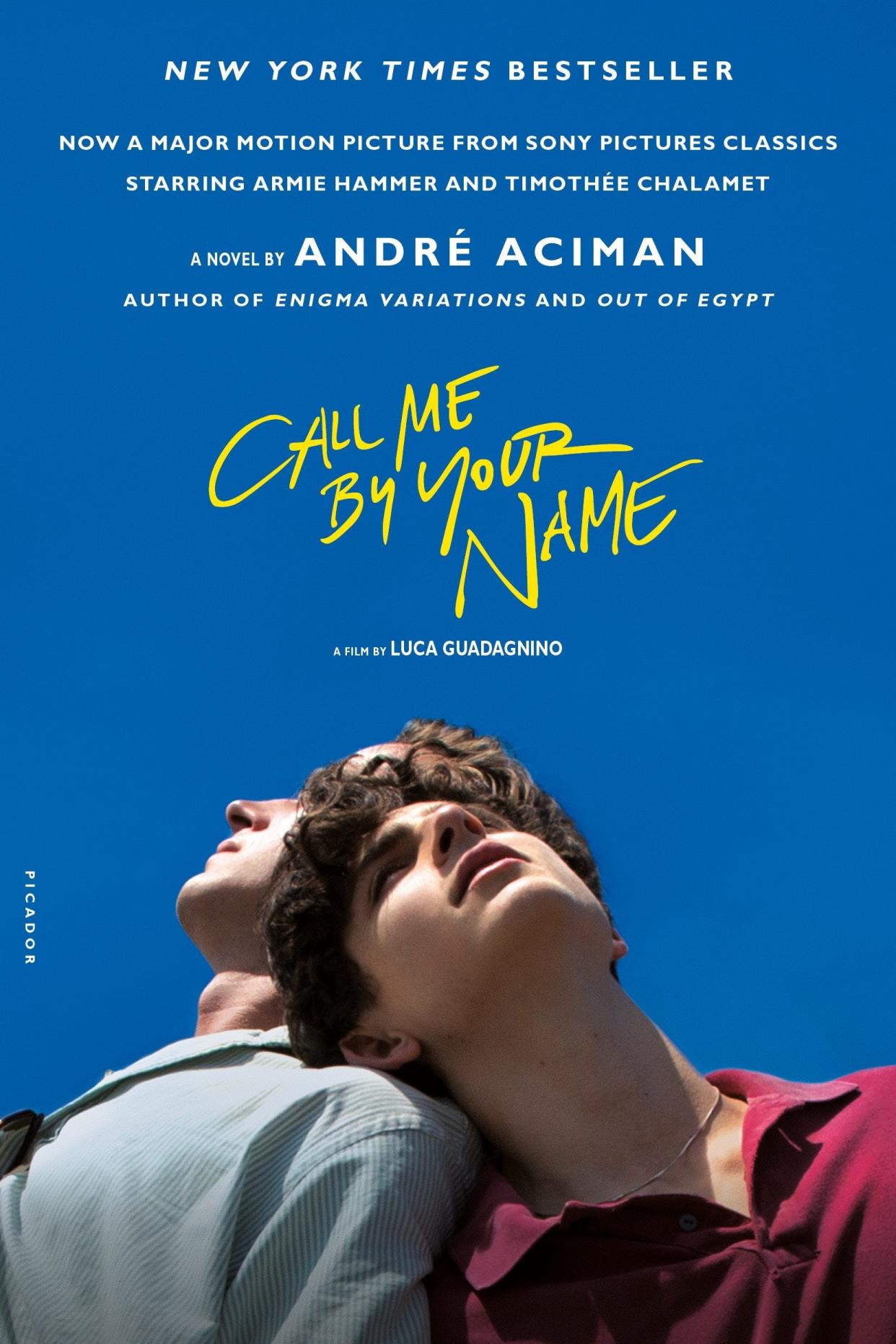 "Call Me by Your Name" soared to the stratosphere in 2017.