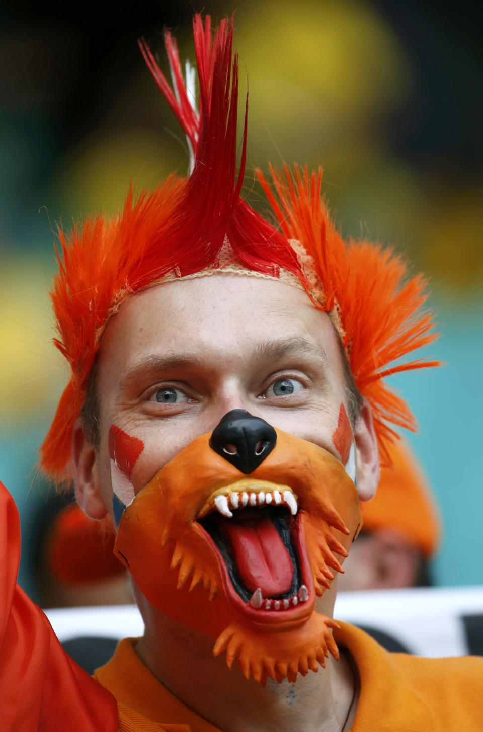 A Netherlands fan poses before the 2014 World Cup quarter-finals between Costa Rica and the Netherlands at the Fonte Nova arena in Salvador July 5, 2014. REUTERS/Sergio Moraes