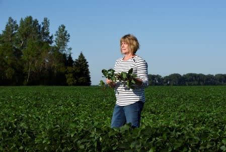 Vannessa Kummer checks soybean crop Colfax, North Dakota