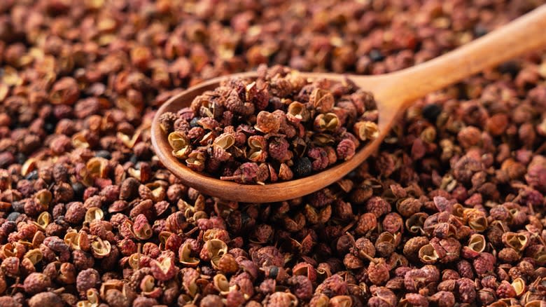 Red Sichuan peppercorns on spoon