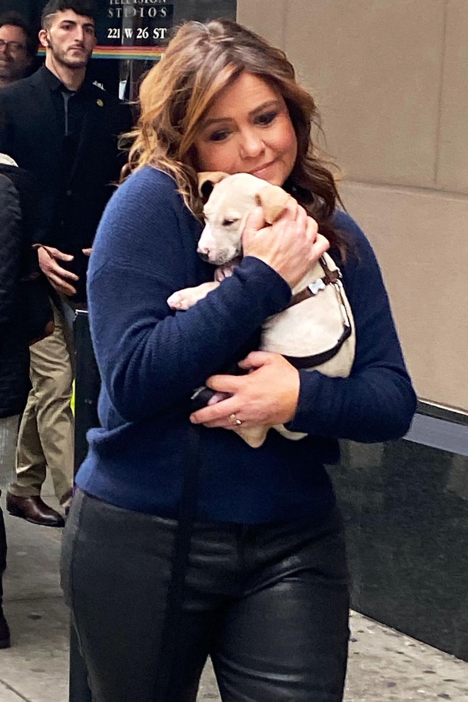 Rachael Ray cuddles up to a new furry friend from the ASPCA while taping <i>The Rachael Ray Show</i> on Tuesday in N.Y.C. 