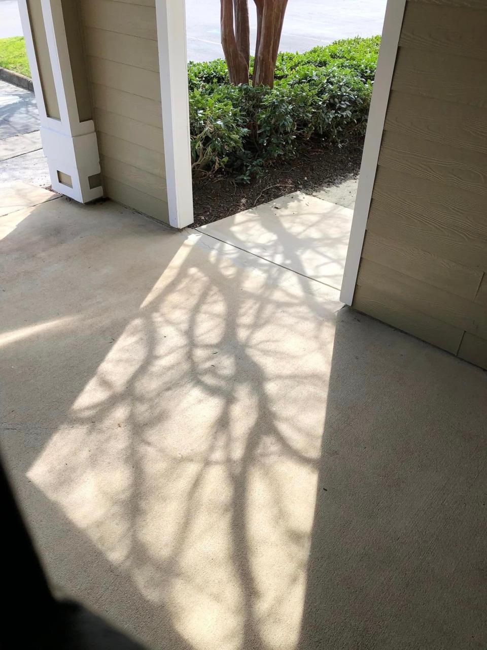 A crape myrtle tree shadow during a solar eclipse in Chester, Virginia on April 8, 2024.