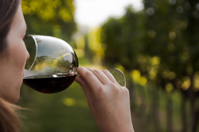 close up of a young woman drinking red wine from a glass in a vineyard