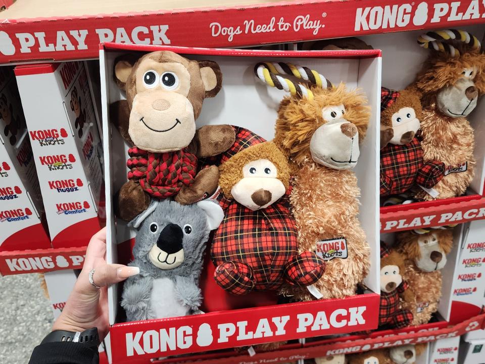 Kong play pack chew toys for pets
