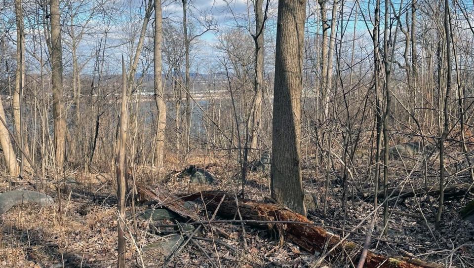 The Susquehanna River can be seen from land in Fairview Township that is part of the proposed York County Park.