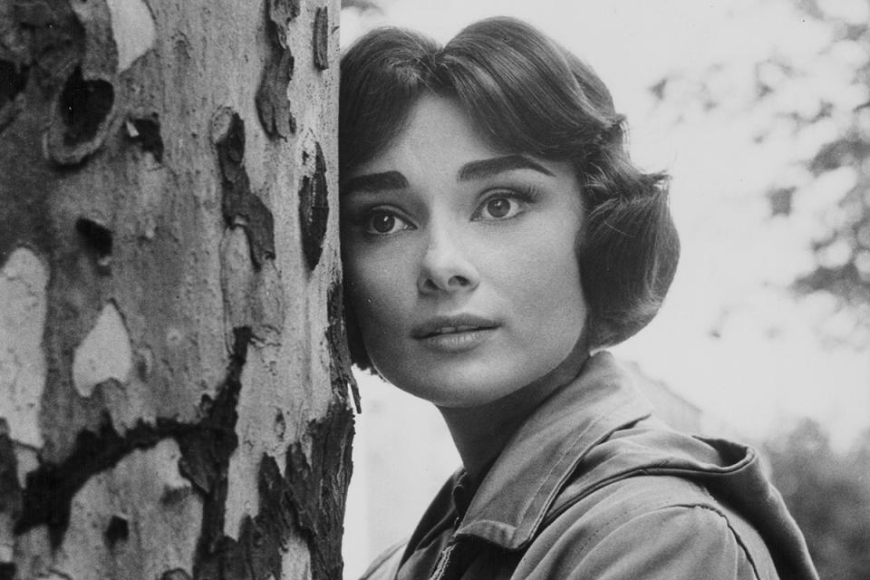 Portrait of actress Audrey Hepburn leaning against a tree, 1951 