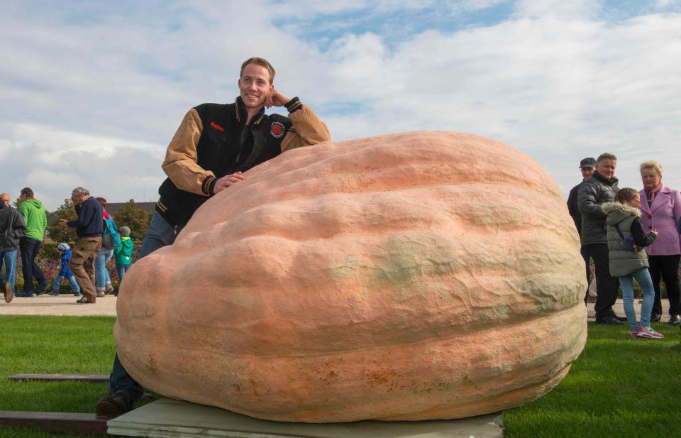 Belgian Mathias Willemijns poses with his atlantic giant pumpkin prior the weight-off at the Giant Pumpkin European Championship in  Ludwigsburg, southwestern Germany, on October 9, 2016.