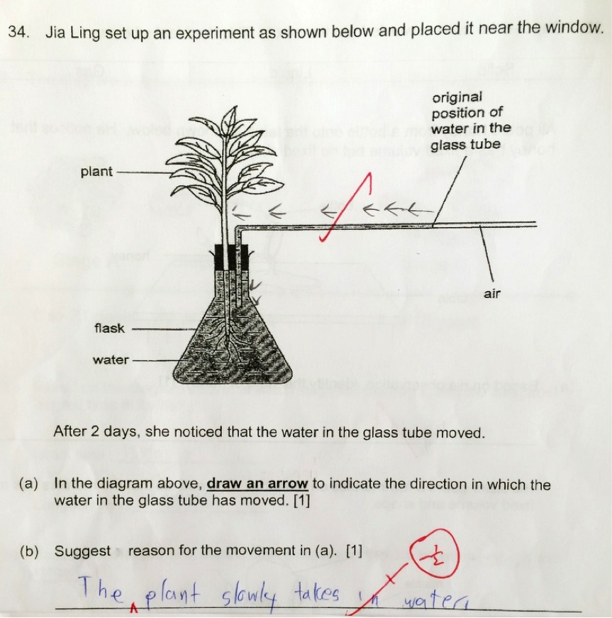 question 1