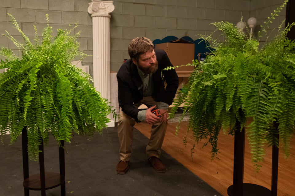 Zach Galifianakis is between two ferns in 'Between Two Ferns: The Movie' (Photo: Adam Rose/Netflix)