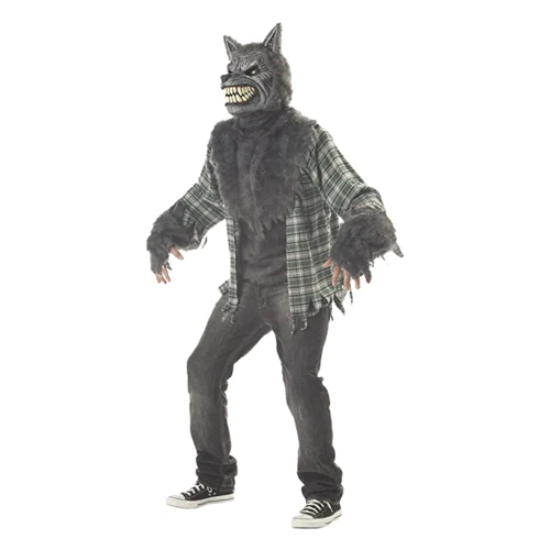 halloween costumes for men california costumes