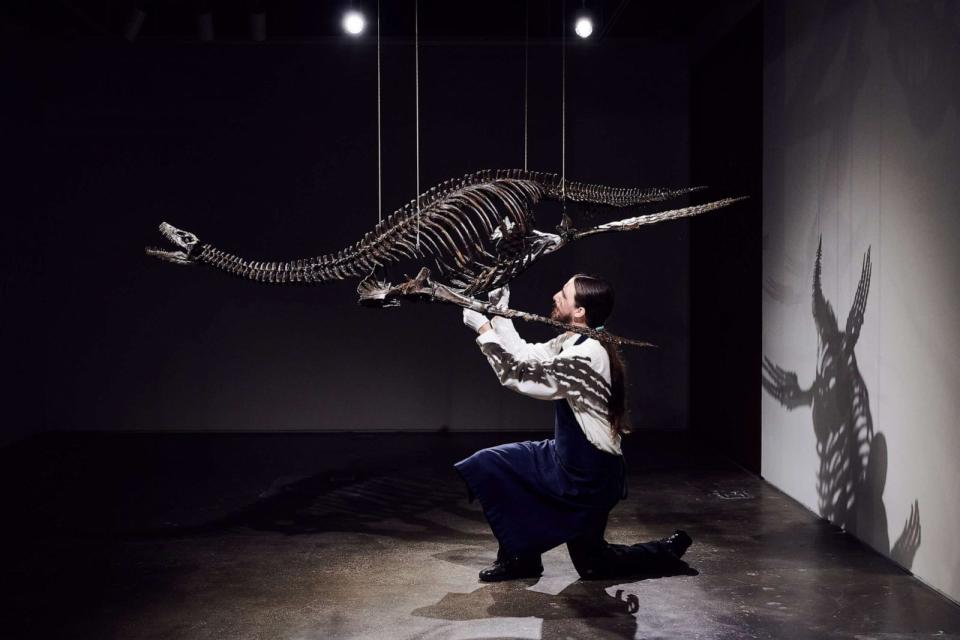 PHOTO: The skeleton of a Plesiosaur is shown. (Courtesy of Sotheby's)