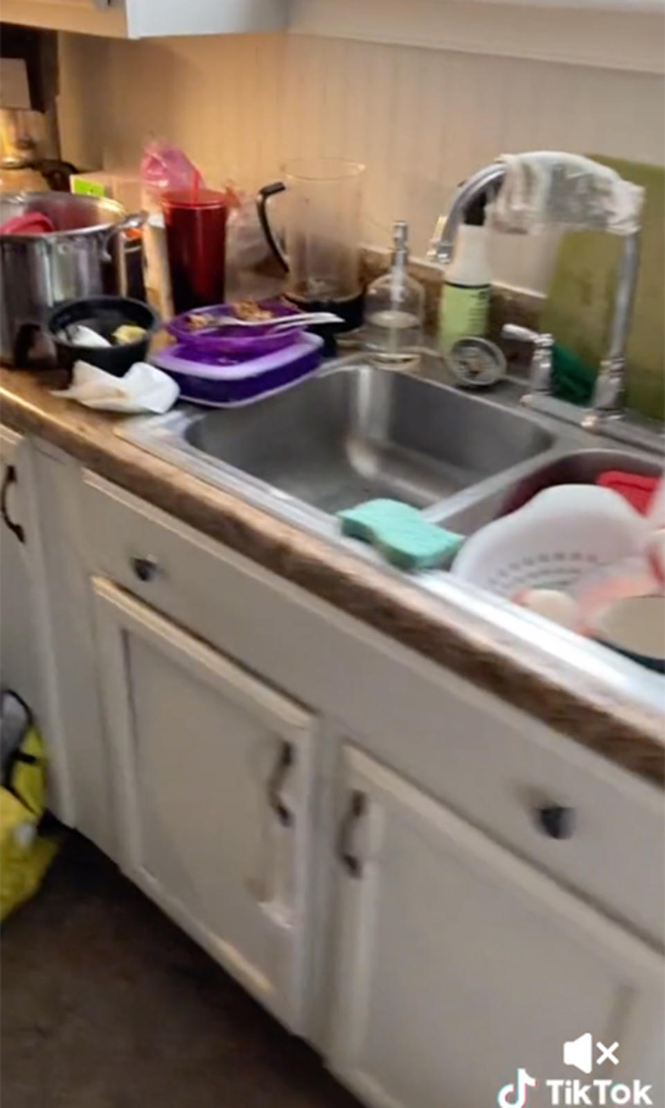 TikTok mum messy kitchen