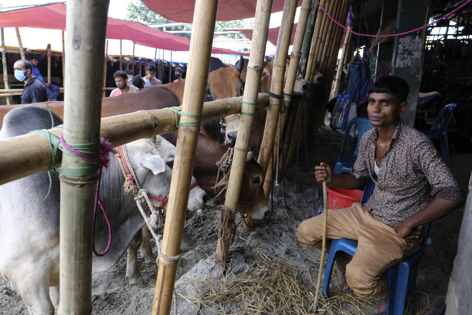 A man waits for customers at Gabtoli cattle market ahead of Eid-al Adha in Dhaka, Bangladesh, Friday, July 16, 2021. Millions of Bangladeshis are shopping and traveling during a controversial eight-day pause in the country’s strict coronavirus lockdown that the government is allowing for the Islamic festival Eid-al Adha. (AP Photo/Mahmud Hossain Opu)