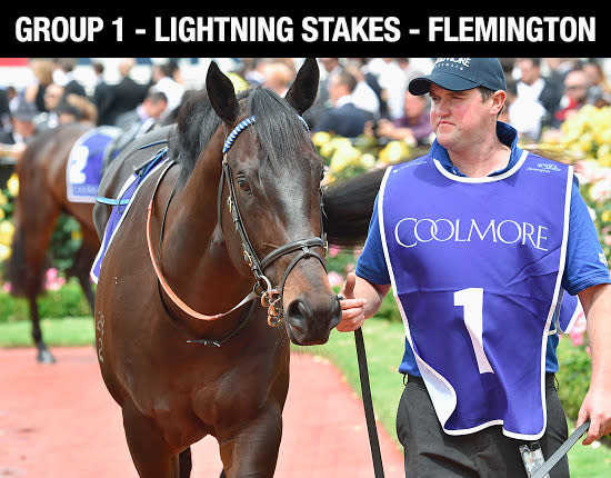 The John O'Shea-trained colt was in exceptional form prior to it's failure behind Japonisme in the Coolmore Stud down the Flemington straight. His run in the Roman Consul was very dominate and by all reports has trailed well to run well. One of the favourites.