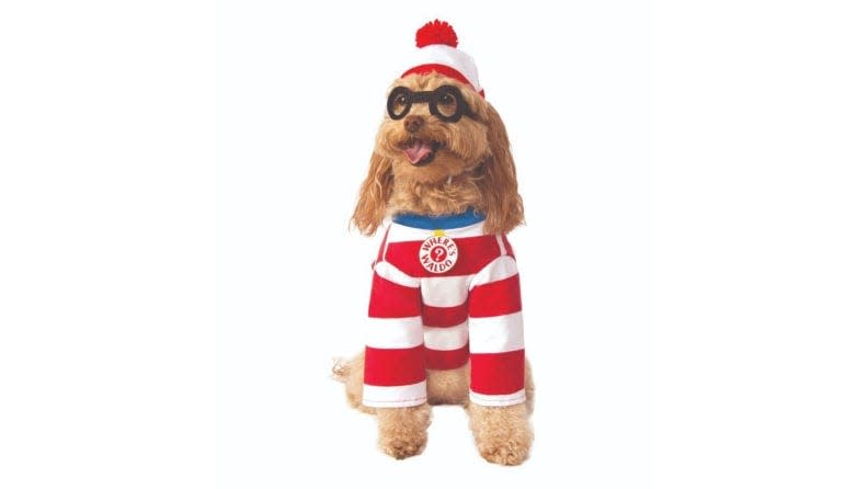 There's no way your dog will get lost in the crowd wearing this storybook disguise.