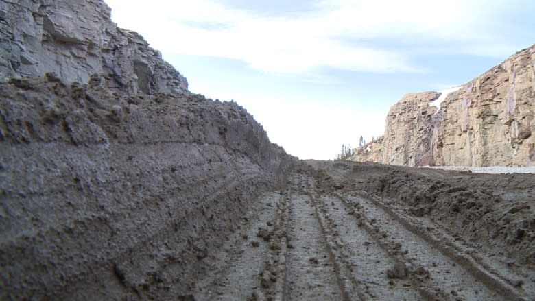 'It's brutal': South coast Labrador sounds off on leg of Trans-Labrador Highway