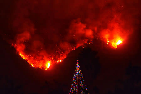 With Thomas wildfire flames burning behind it, a Christmas Tree stands as a lone sentinel in the front yard of an evacuated home in this social media photo by Santa Barbara County Fire Department in Carpinteria, California, U.S. on December 11, 2017. Courtesy Mike Eliason/Santa Barbara County Fire Department/Handout via REUTERS