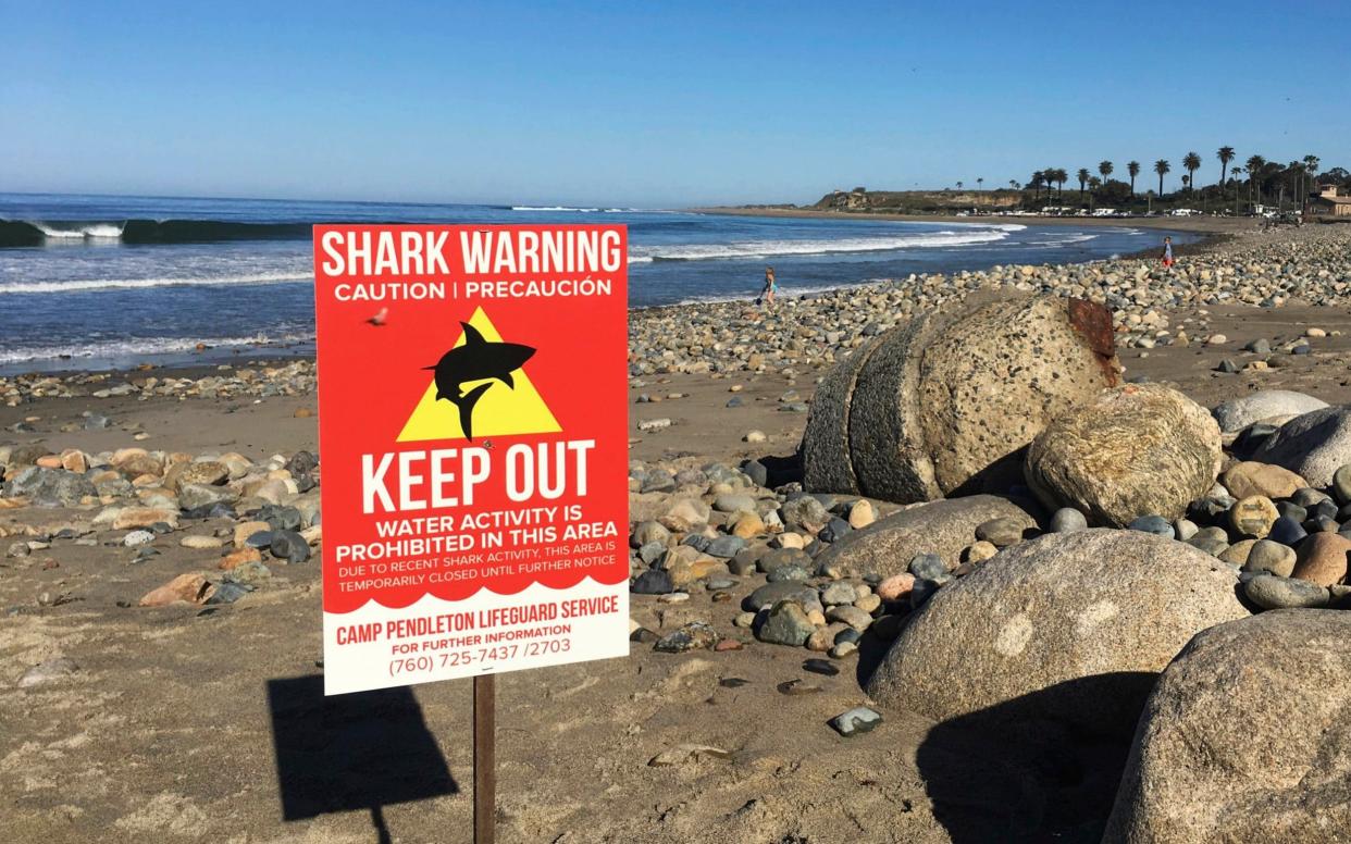 A sign warns beach goers at San Onofre State Beach after a woman was attacked by a shark in the area - The Orange County Register