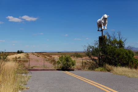 A road abruptly ends next to a sign for a cattle ranch near Douglas, Arizona, United States, October 10, 2016. REUTERS/Mike Blake