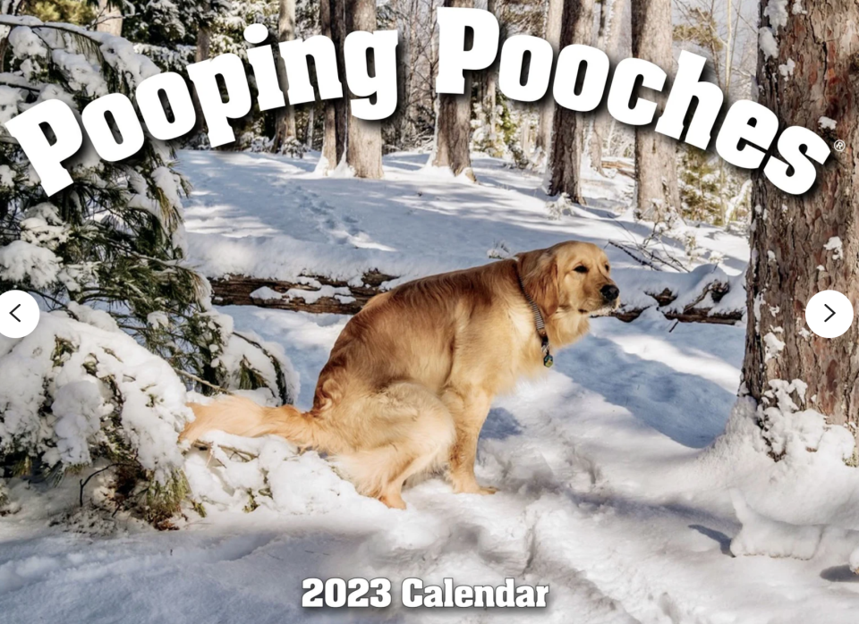 23) 2023 Pooping Pooches Dog Calendar